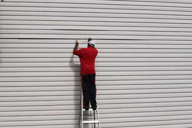 Affordable Siding Repair and Maintenance Services in Boiling Spring Lakes, NC